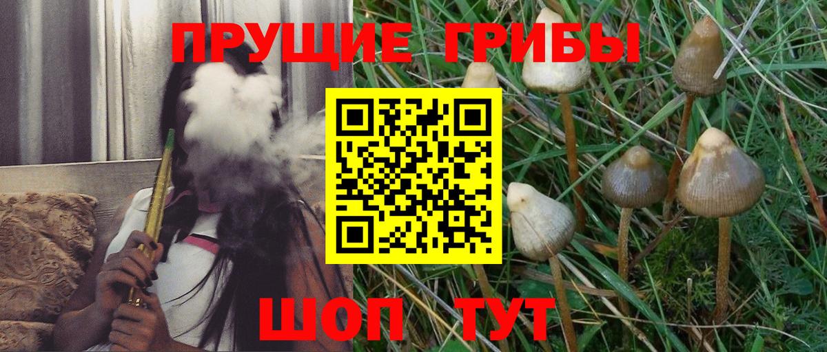 Чусовой  Псилоцибиновые грибы прущие грибы  Вход с VPN  Псилоцибиновые грибы прущие грибы 