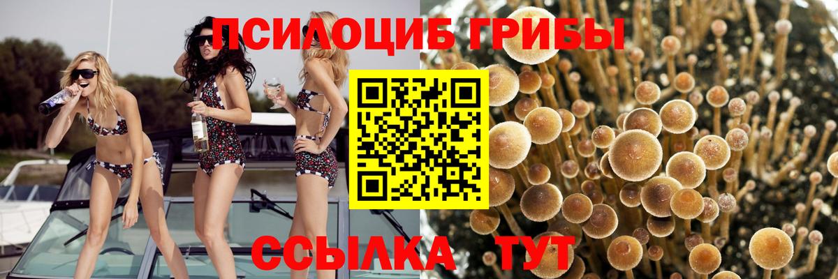 Галлюциногенные грибы ЛСД Чусовой